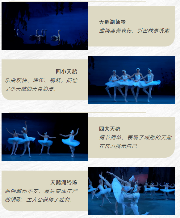 图片 23.png